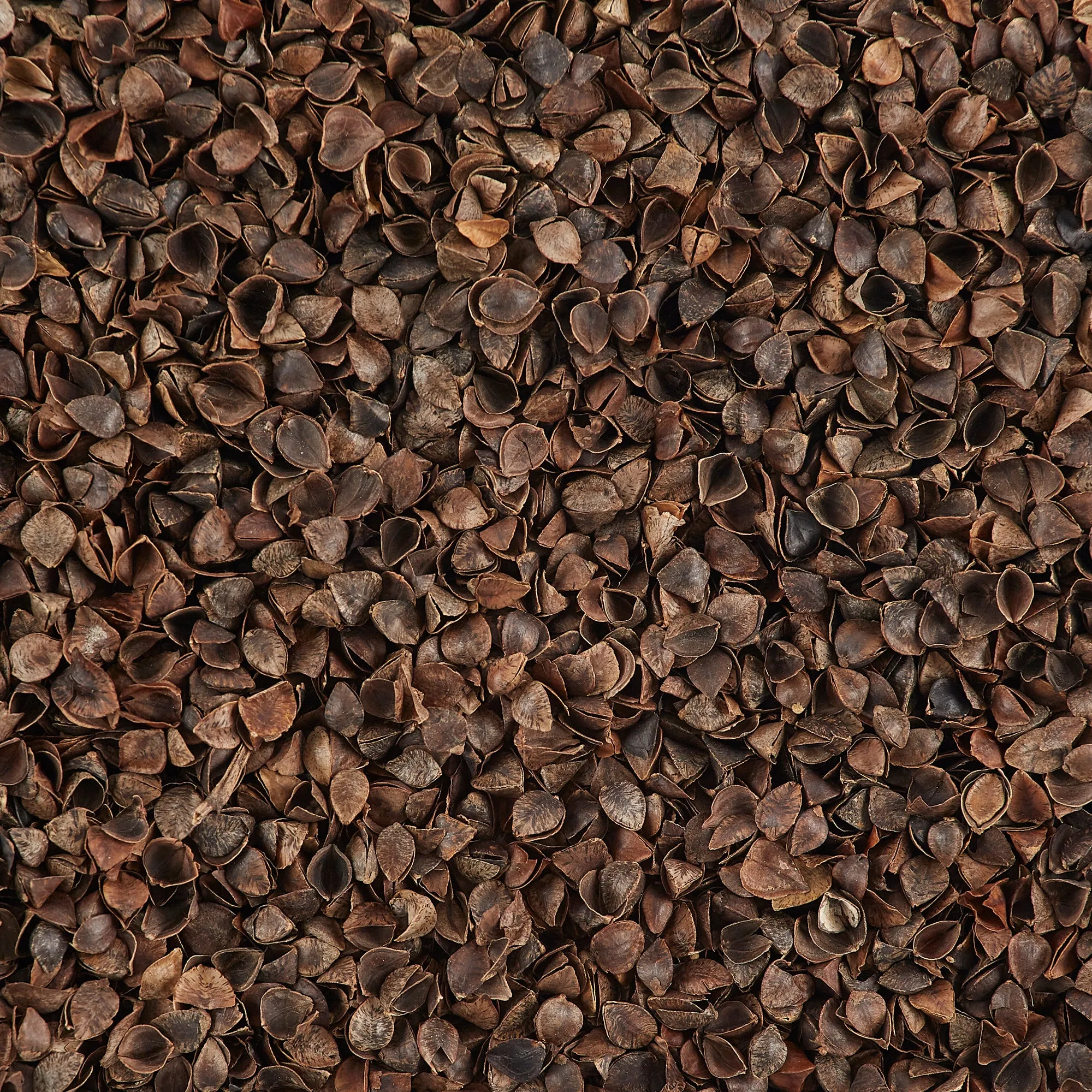 2 lb. Buckwheat Hulls Brown