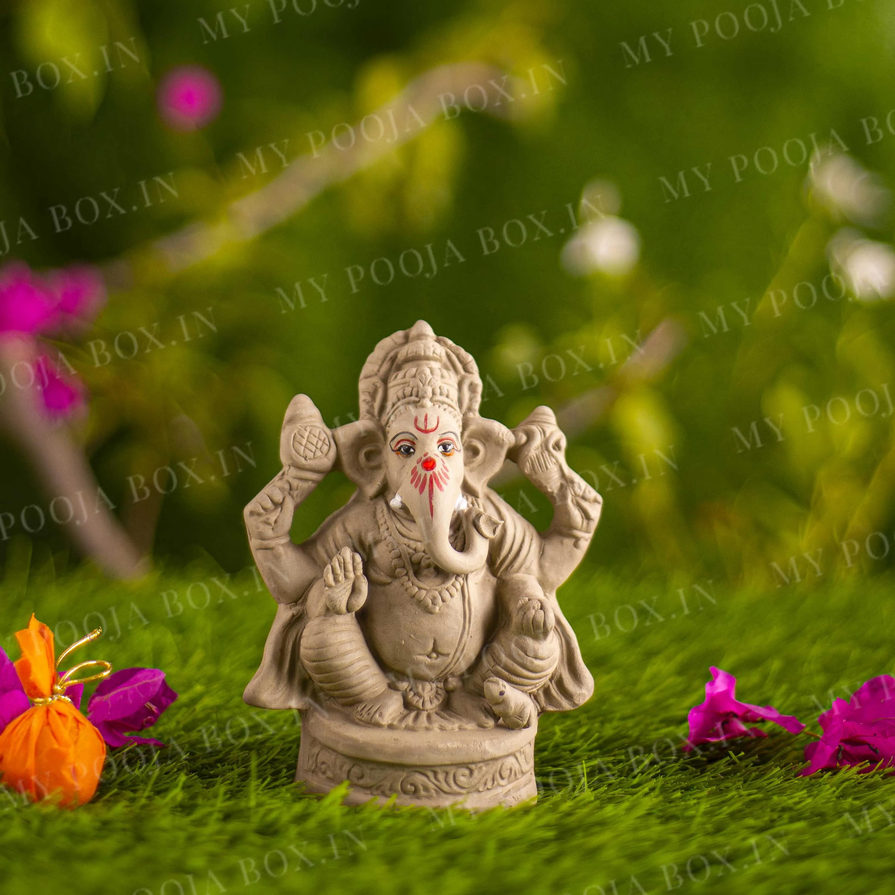 5INCH Avighna Eco-Friendly Ganpati | Plant-A-Ganesha