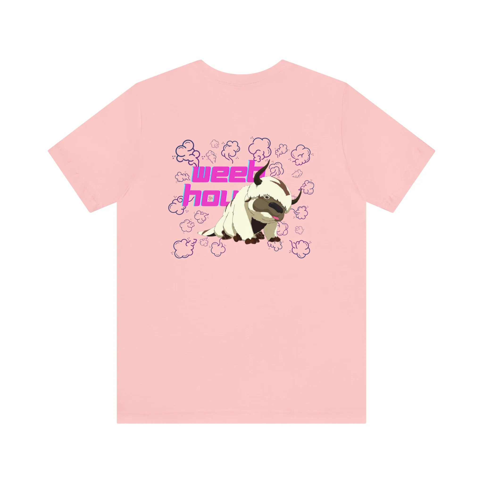 Appa Anime Tee