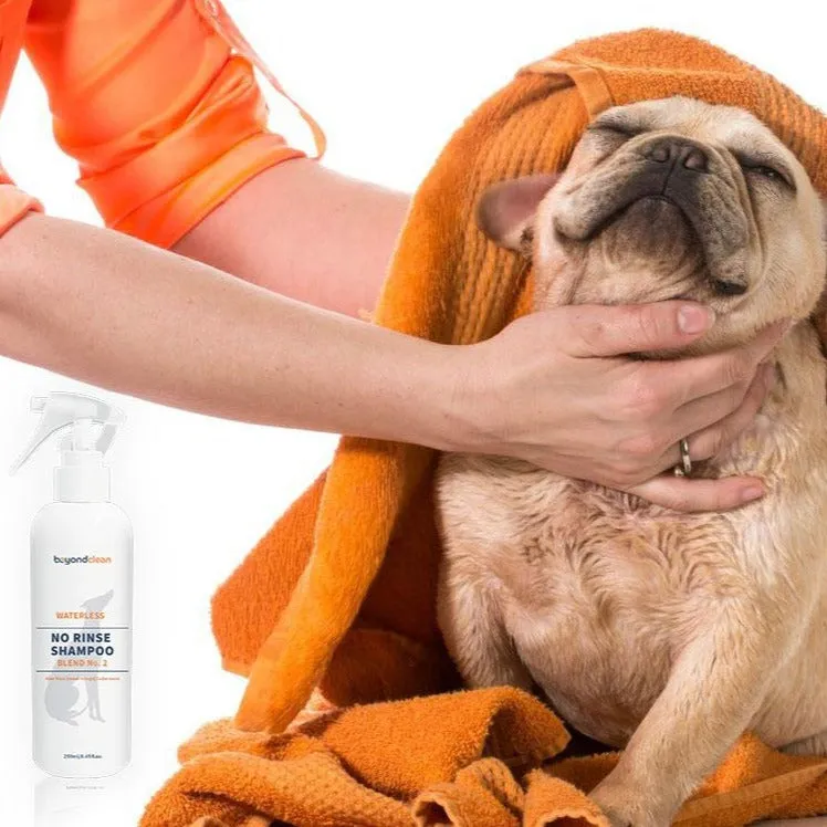 Beyond Clean Blend No.1 Organic Aloe Vera, Lemongrass & Cedarwood Waterless No Rinse Shampoo Foam
