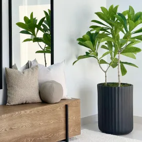 Carousel Fiber Clay Mate Black Planter