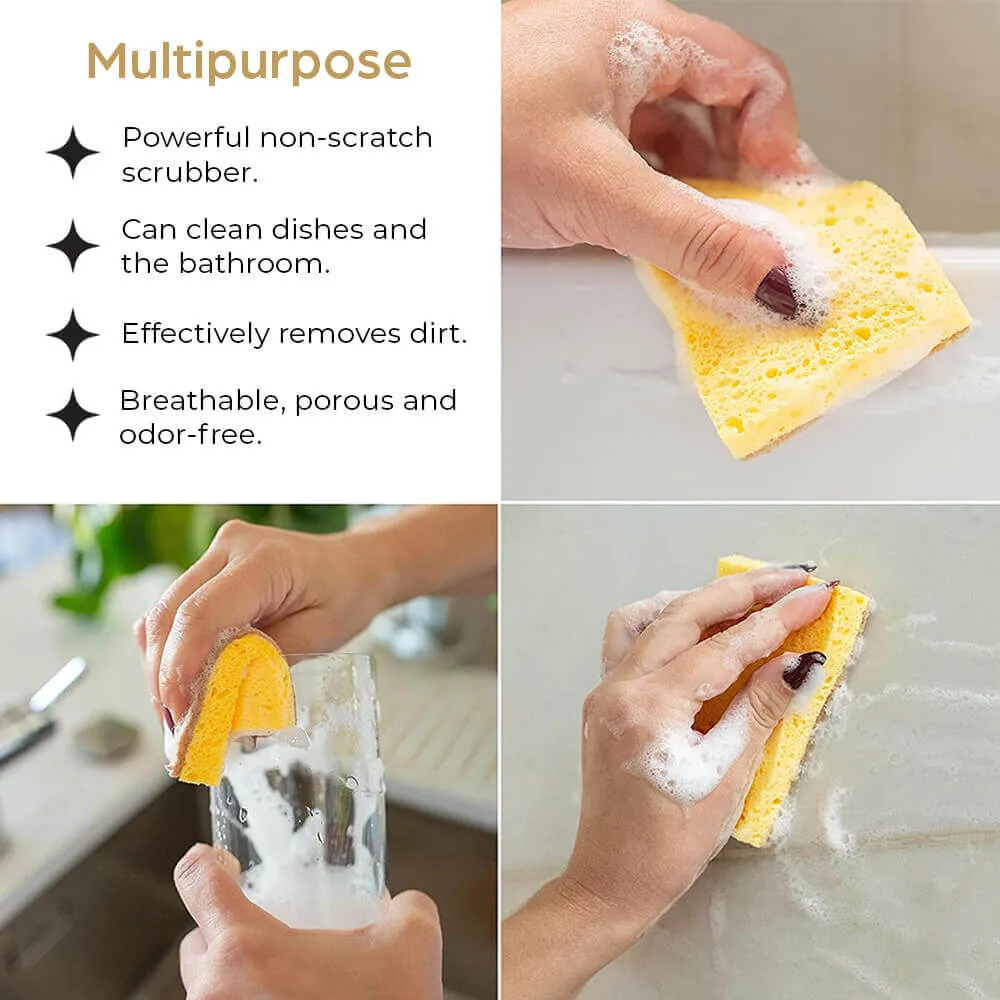 Eco-Friendly Scouring Sponges - Set of 3