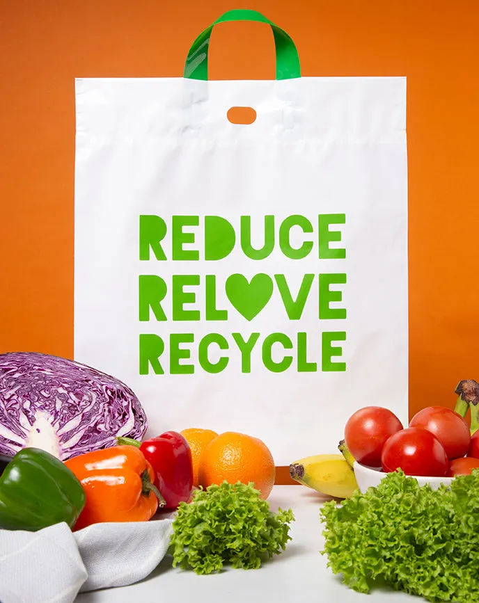 Ecopack Loop Handle Medium Reusable Shopping Bag (1 Pack /100 Bags)