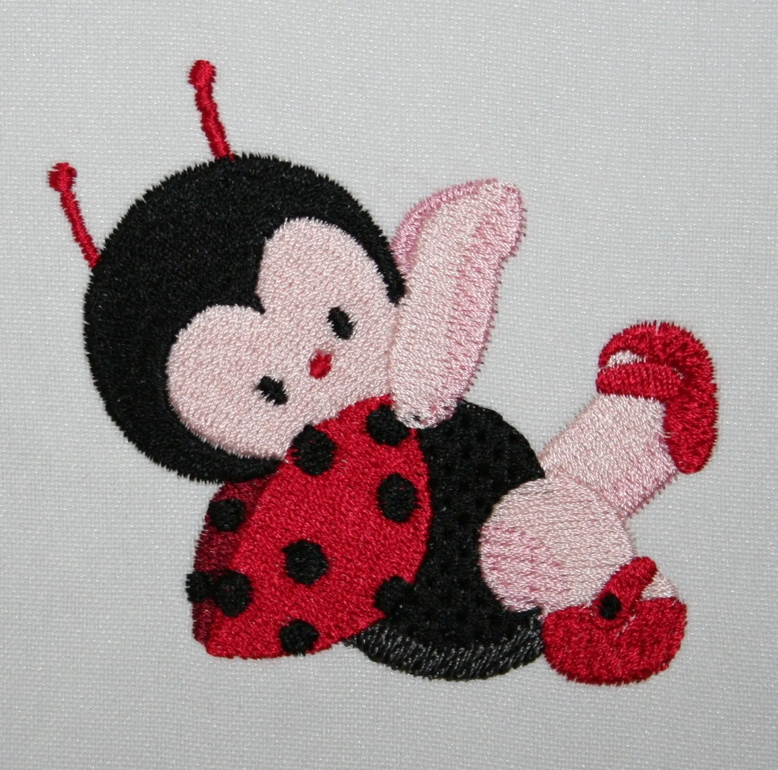 Ladybug Capers Combo