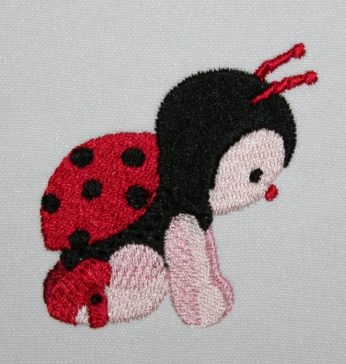 Ladybug Capers Combo