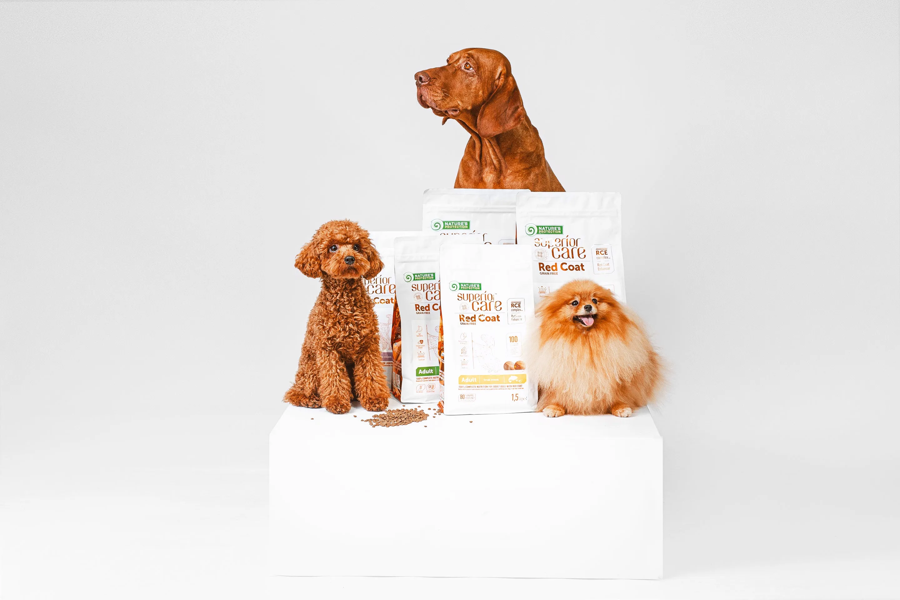 Nature's Protection Red Coat Grain-Free Dry Dog Food For Small And Mini Breeds Red Coated Dogs, Salmon And Krill