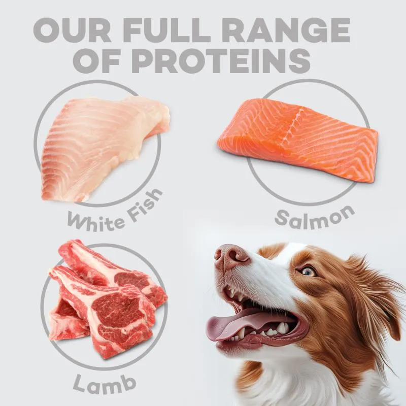 Nature's Protection Red Coat Grain-Free Dry Dog Food For Small And Mini Breeds Red Coated Dogs, Salmon And Krill