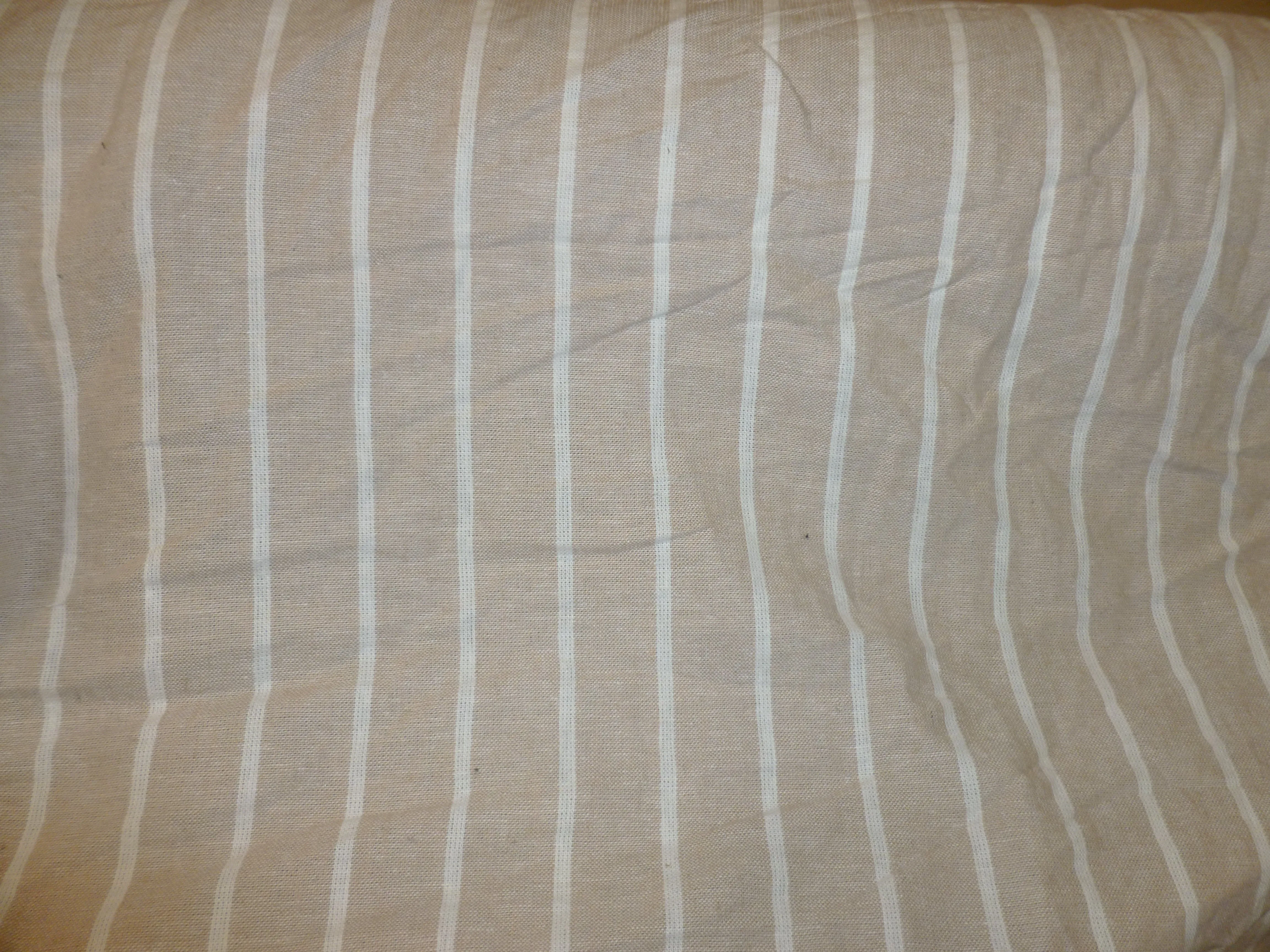 Pirates Fabric.
