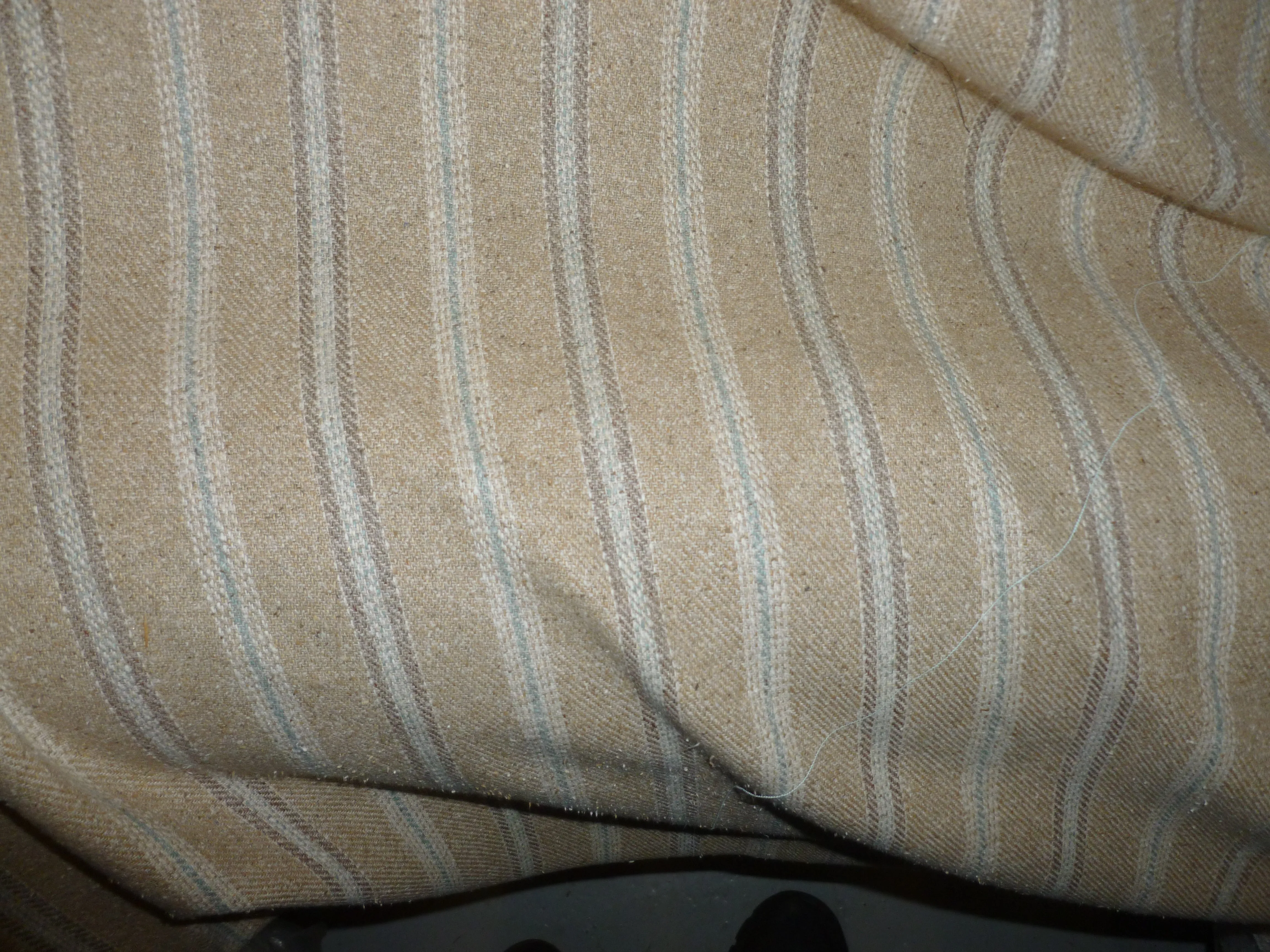 Pirates Fabric.