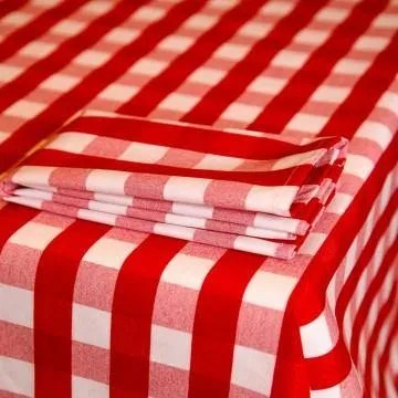 Rosso Gingham Napkins