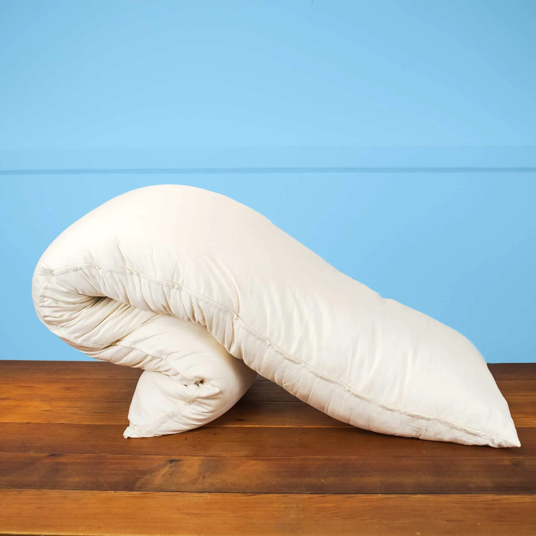 SOUTH CAROLINA 100% Organic Cotton Bed Pillow (Chemical-free; Handmade in USA)