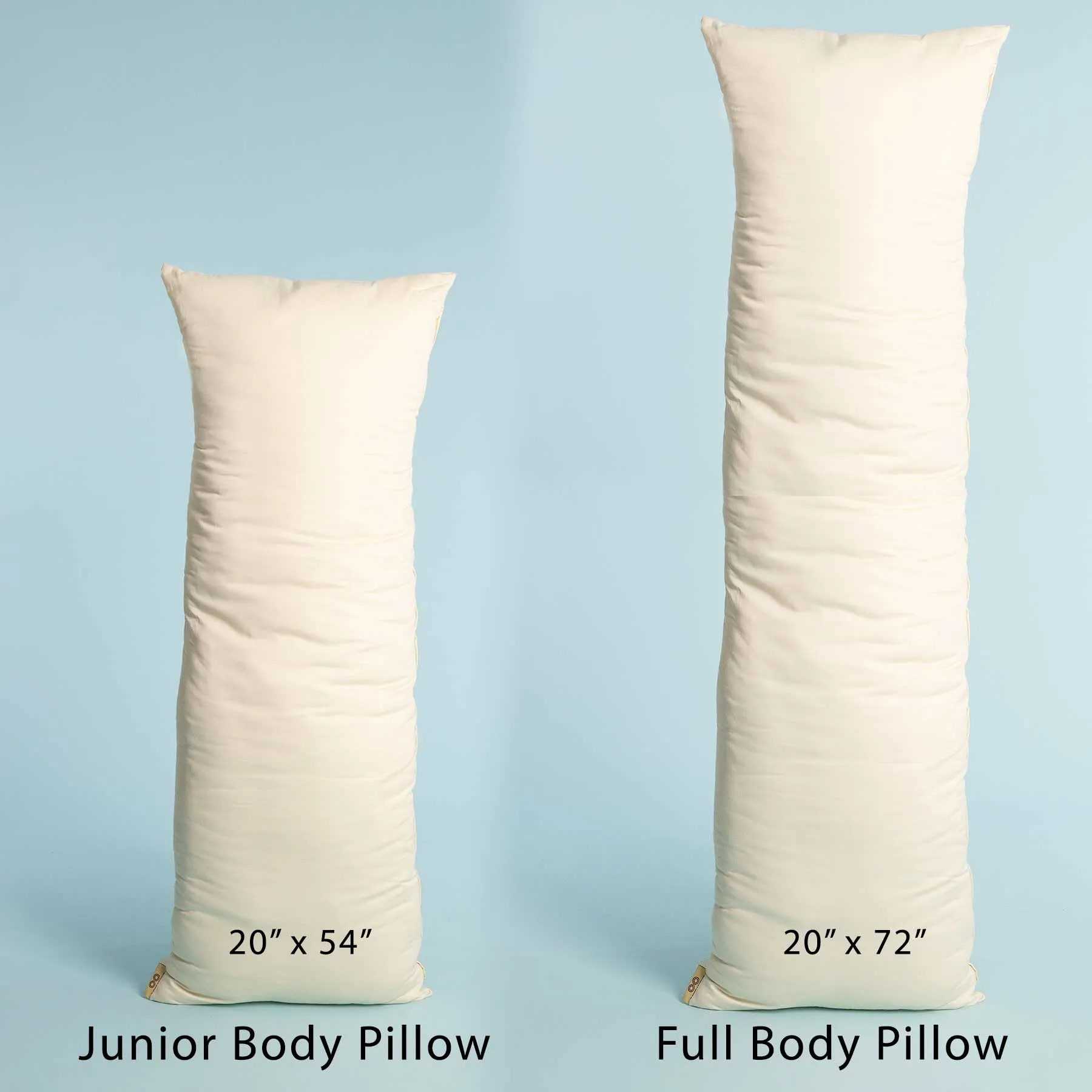 SOUTH CAROLINA 100% Organic Cotton Bed Pillow (Chemical-free; Handmade in USA)